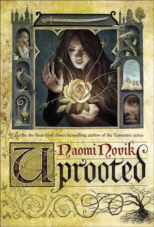 Review Uprooted by Naomi Novik