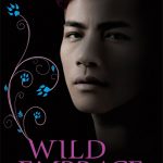 REVIEW Nalini SINGH, Wild Embrace (Psy-Changeling #15.5)
